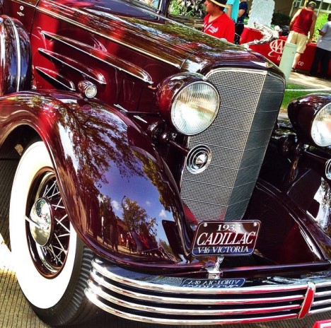 Concours3 - Michelle Fairall